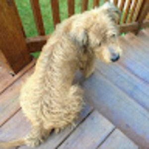 Meet your Posher, Ekaterina